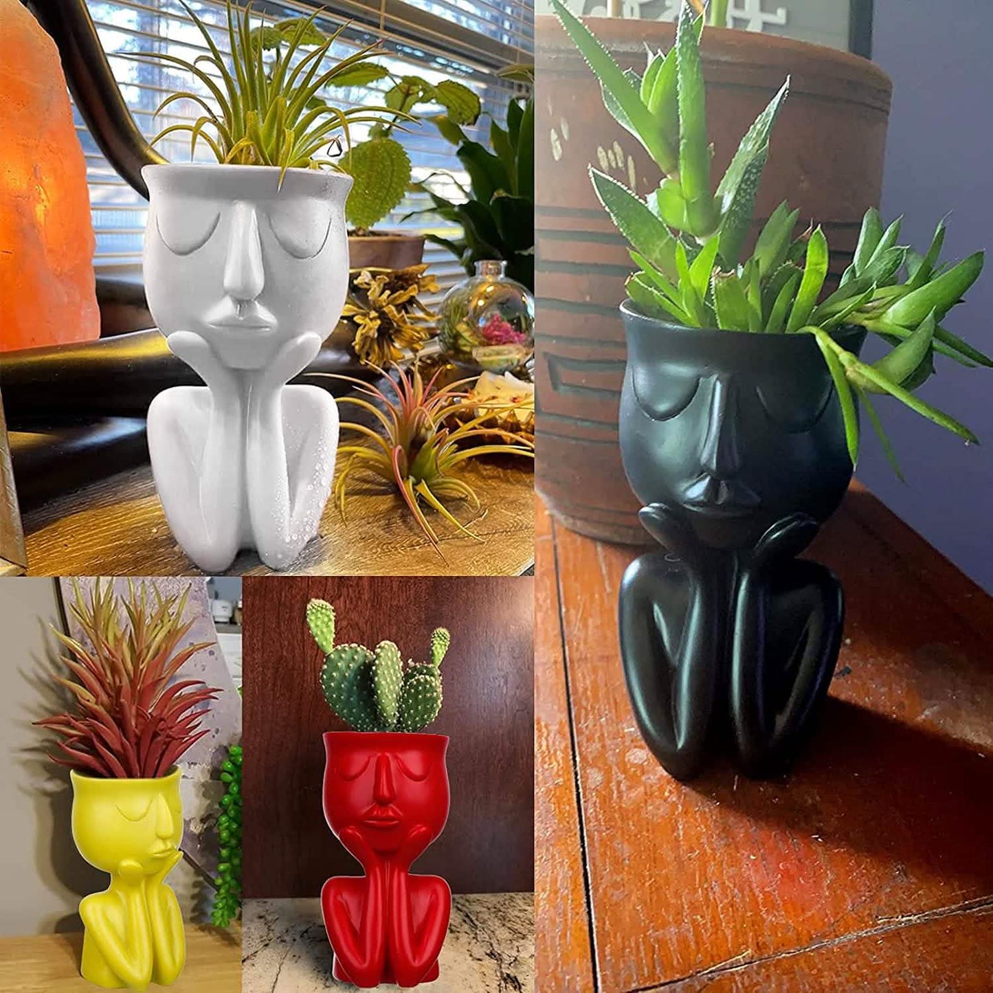 Face Flower Pot Head Planter