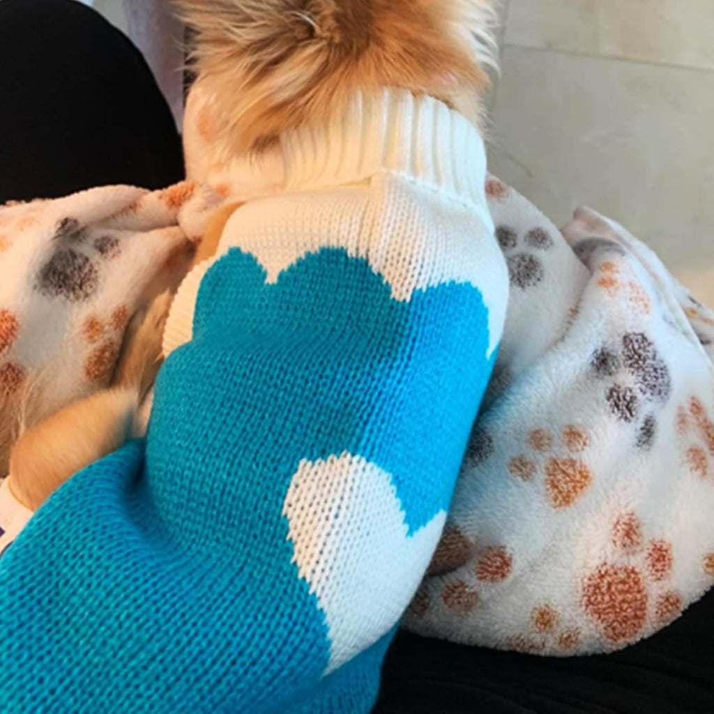 Pet Dog Sweaters Classic Knitwear Turtleneck Winter Warm Puppy Clothing Cute Strawberry and Heart Doggie Sweater (Sky Blue, Xx-Small)