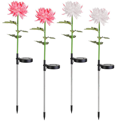 2-Pack: Solar LED Chrysanthemum Lights