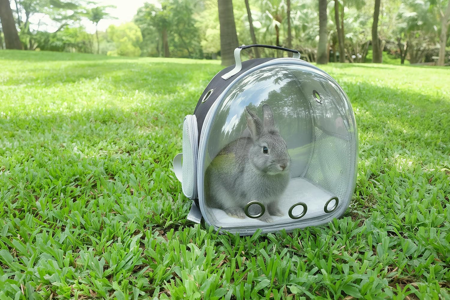 Small Animal Carrier Guinea Pig Backpack,Transparent, Breathable Backpack Carrier for Hedgehogs, Rabbits, Birds, Squirrels, Hamsters, Lizards Comfortable, Portable Travel Bag for Small Pets (Black)