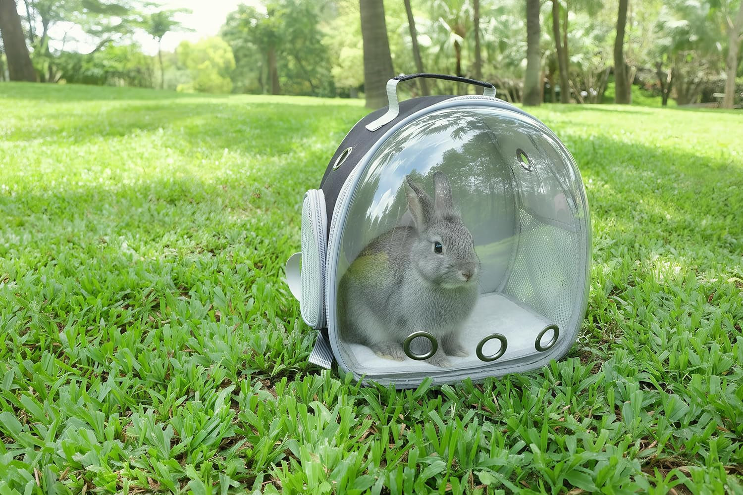 Small Animal Carrier Guinea Pig Backpack,Transparent, Breathable Backpack Carrier for Hedgehogs, Rabbits, Birds, Squirrels, Hamsters, Lizards Comfortable, Portable Travel Bag for Small Pets (Black)