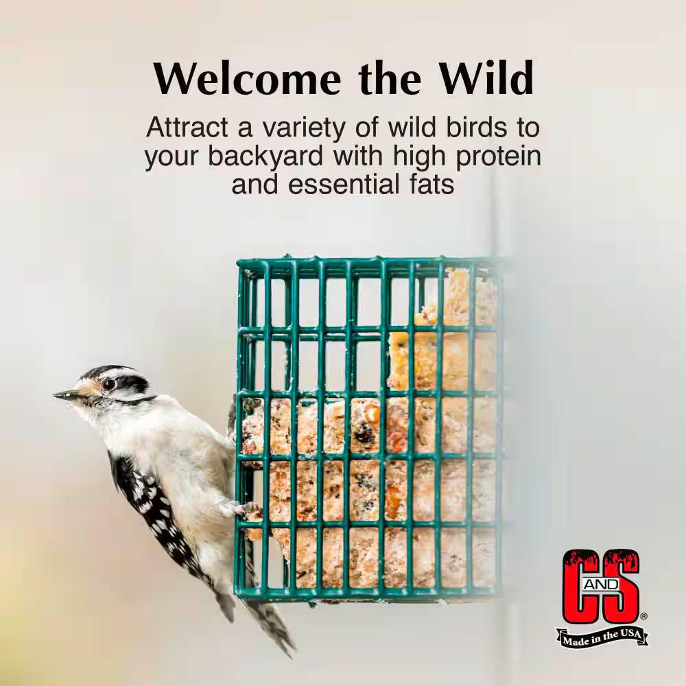 Peanut Delight 0.73 Lbs. Wild Bird Suet