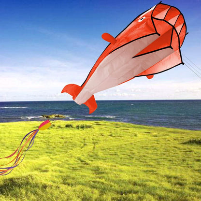 3D Kite Huge Frameless Soft Parafoil Giant Dolphin