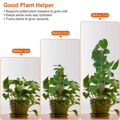 4-Pieces: Coco Coir Extendable Moss Pole for Climbing Plants