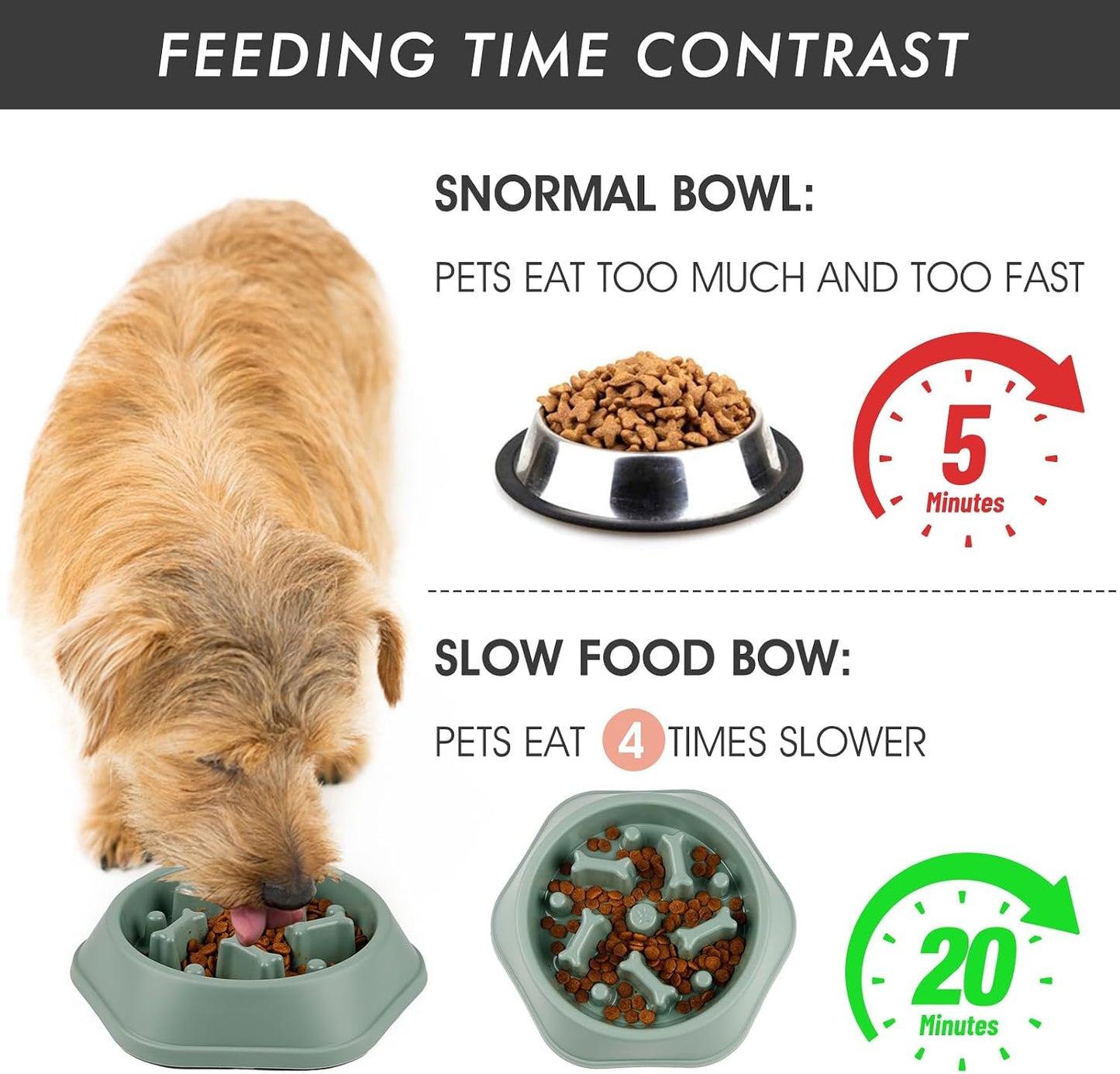 Slow Feeder Dog Bowl, Puzzle Dog Food Bowl Anti-Gulping Interactive Dog Bowl and Water Dog Bowl for Small/Medium Sized Dogs (Green, Bone)
