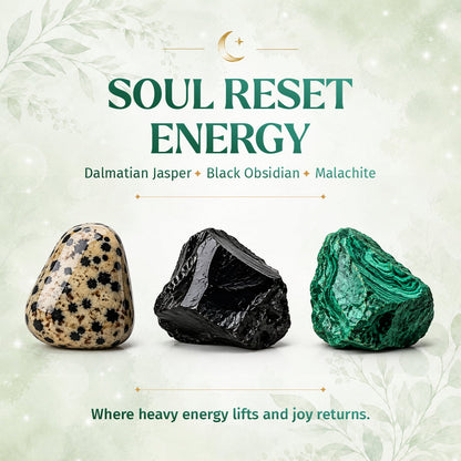 Soul Reset: Dalmatian Jasper Bracelet of Healing