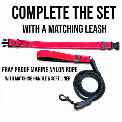 Rugged Waterproof Dog Collar