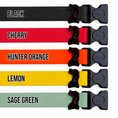 Sport Waterproof Dog Collar