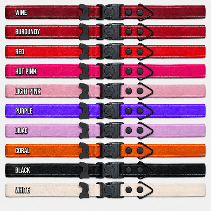 Rugged Waterproof Dog Collar