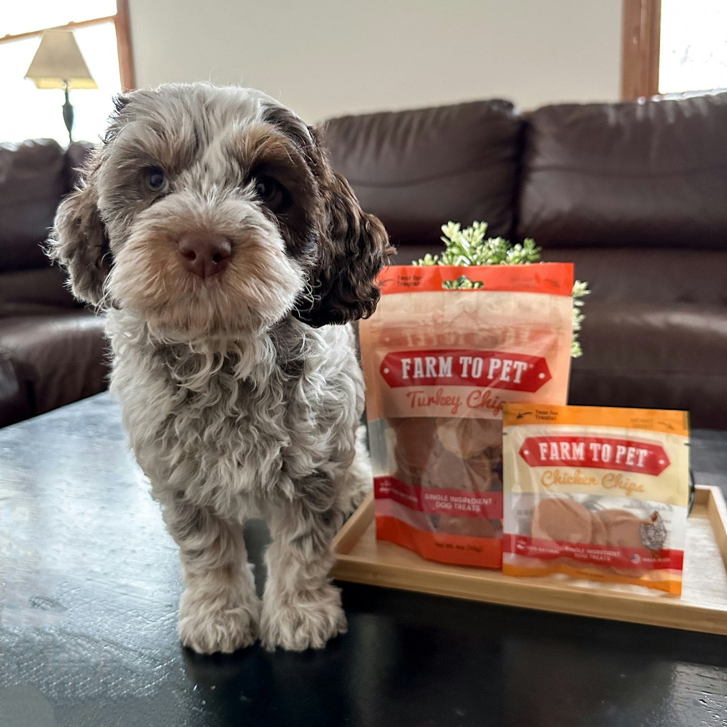Farm to Pet E-Gift Card