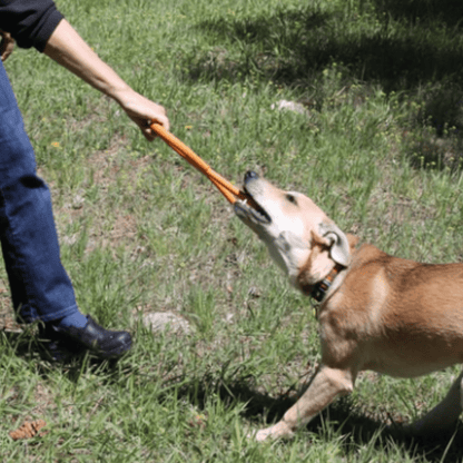 Chew Toys