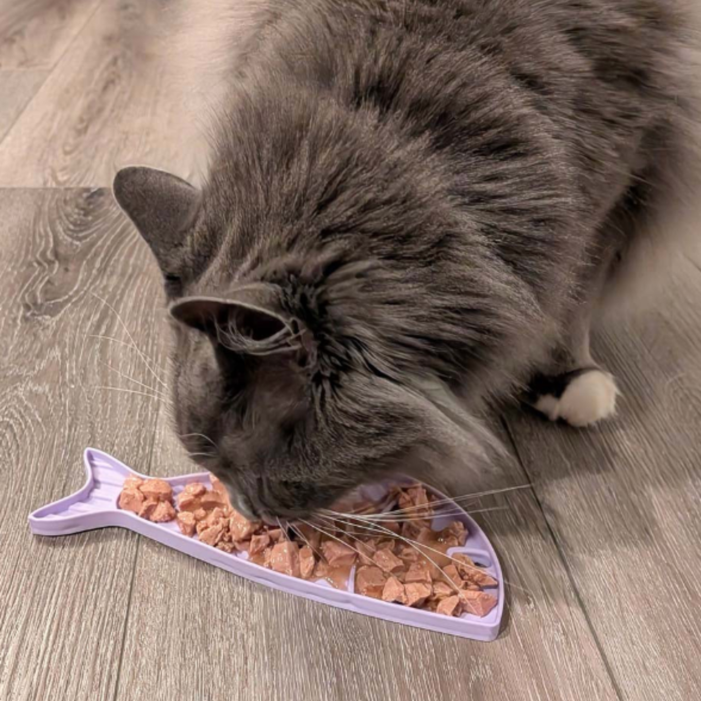 Lick Mats for Cats and Small Dogs
