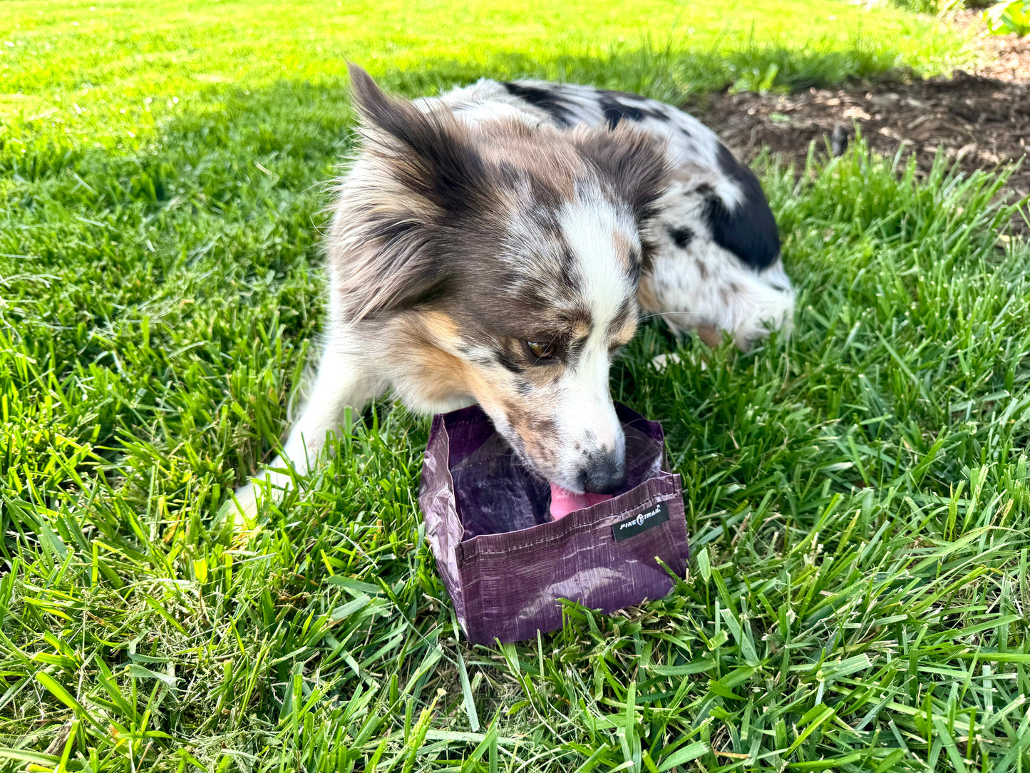 Pike Trail Dyneema Dog Bowl