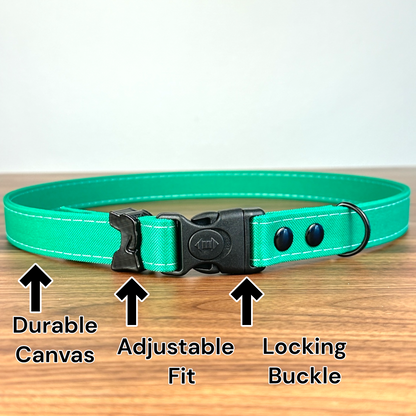 Hands-Free LED Belt Leash