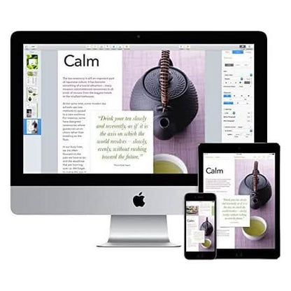 Apple iMac MK142LL/A 21.5-Inch Desktop (Refurbished)