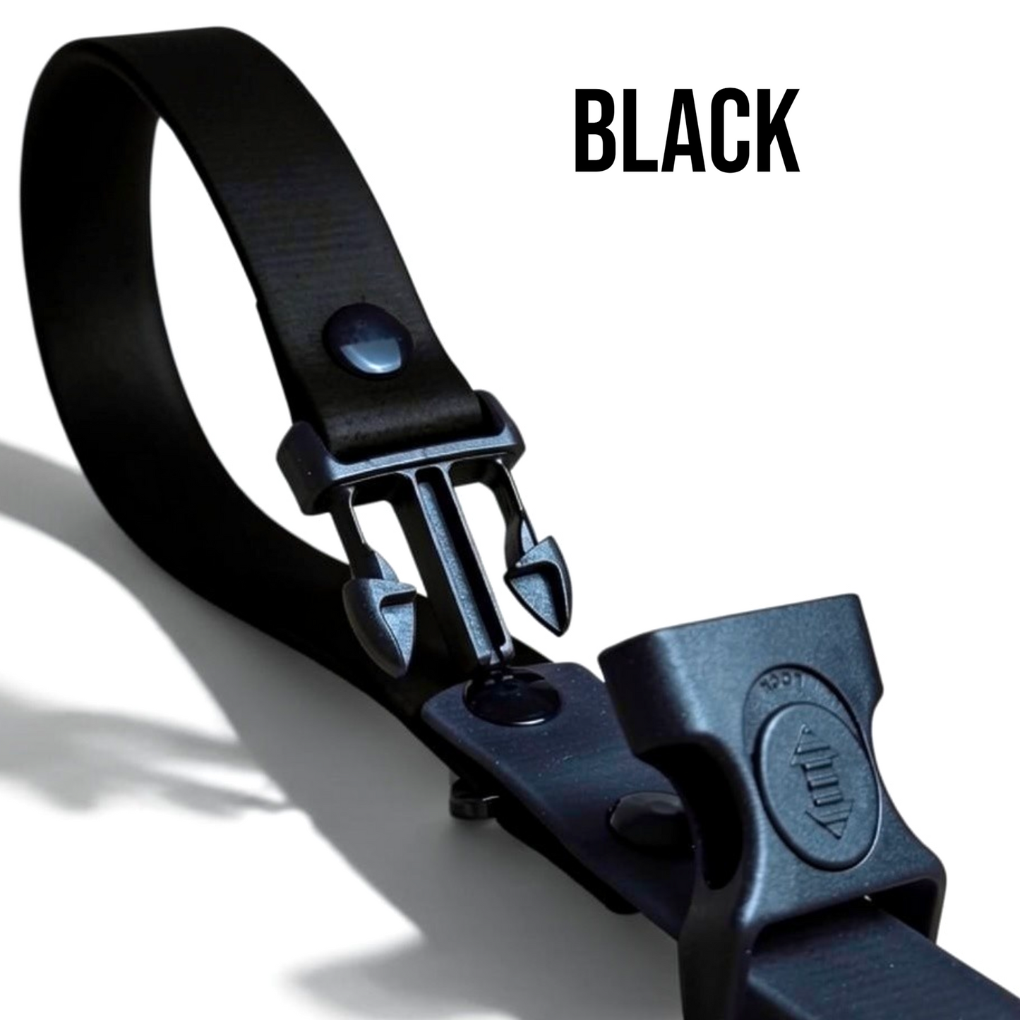 Sport Collection Leashes