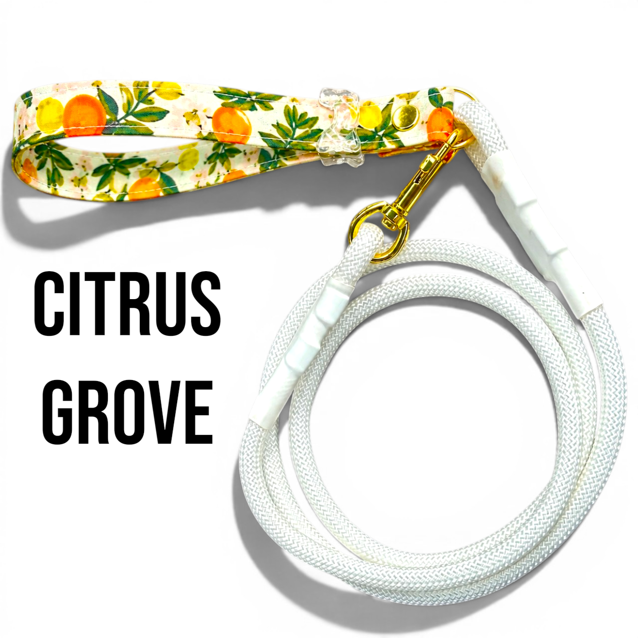 Classic Collection Leashes