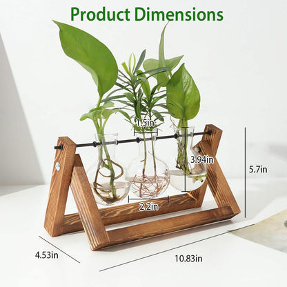 Desktop Glass Bulb Planter