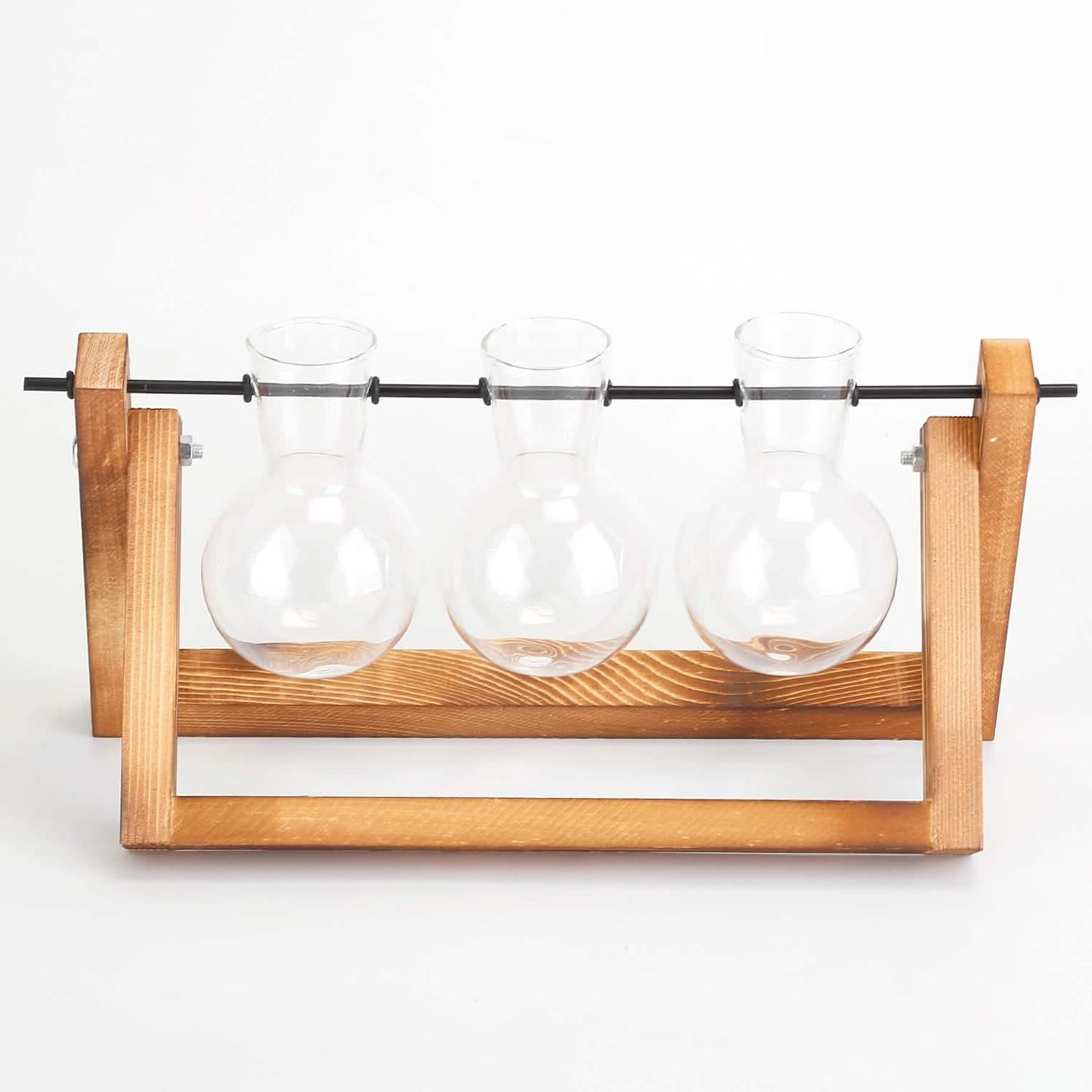 Desktop Glass Bulb Planter