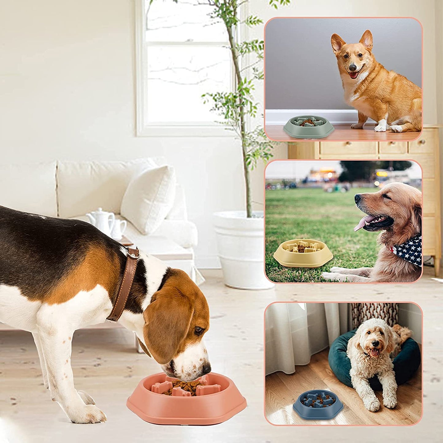 Slow Feeder Dog Bowl, Puzzle Dog Food Bowl Anti-Gulping Interactive Dog Bowl and Water Dog Bowl for Small/Medium Sized Dogs (Green, Bone)