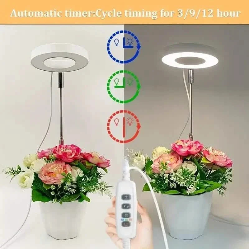 Full Spectrum LED Halo Plant Light With Stand Height Adjustable Auto Timer