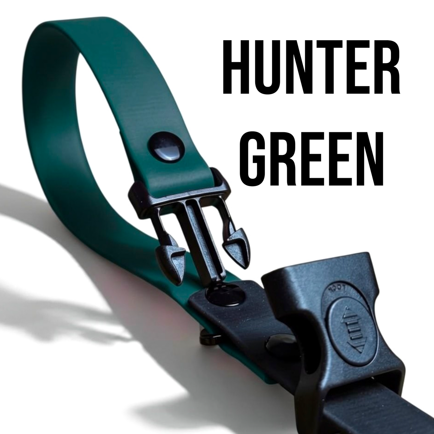 Sport Collection Leashes