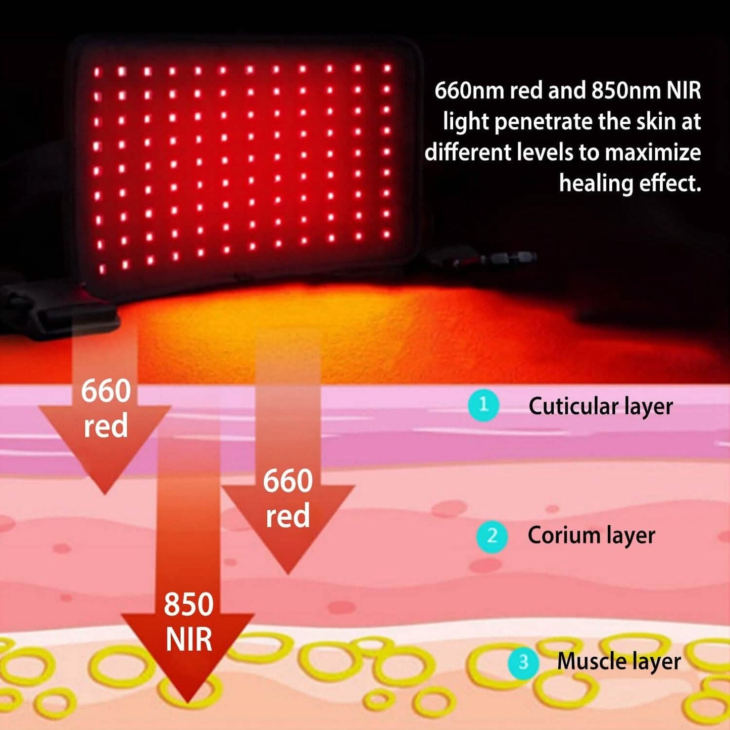 LED Red Light Therapy Belt