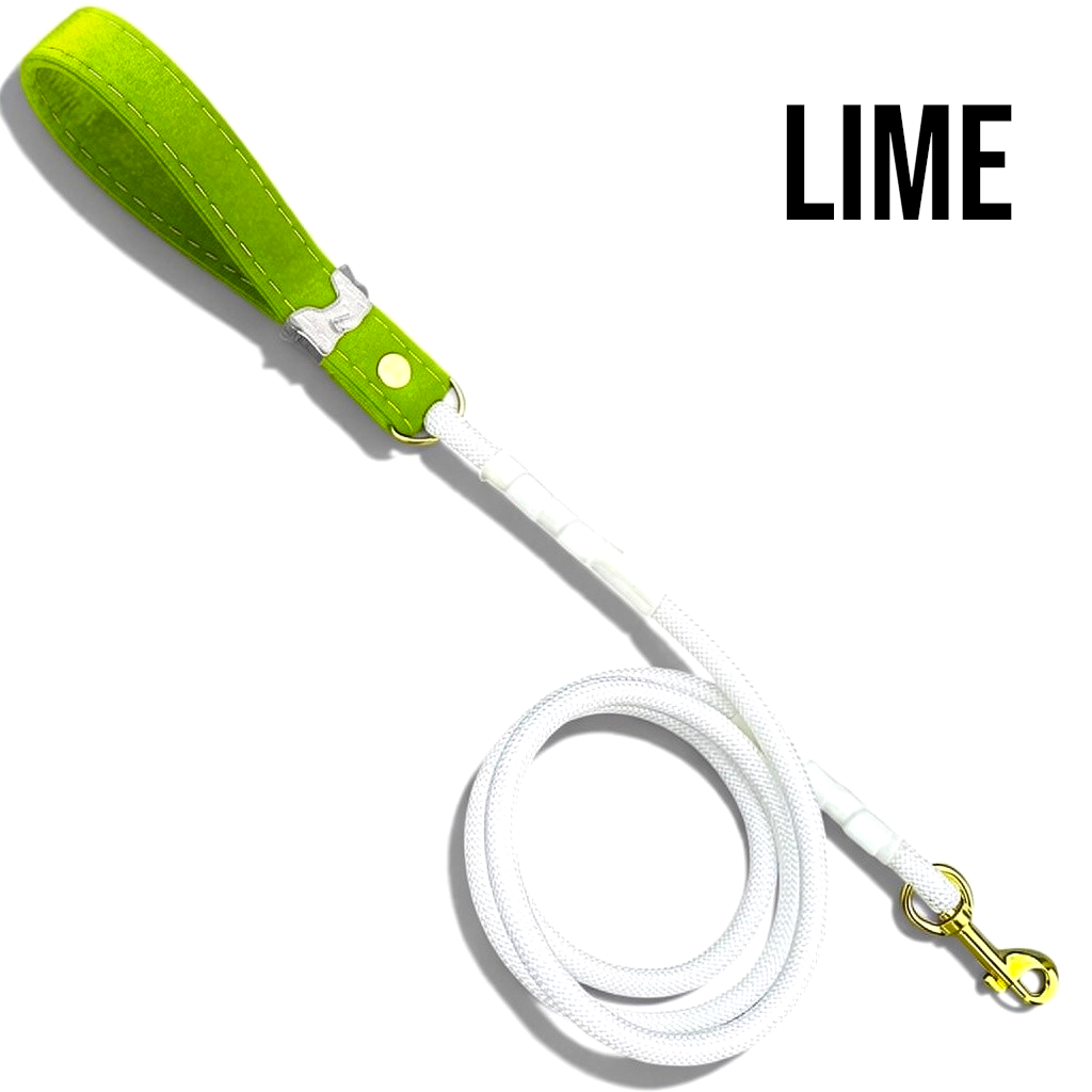 Luxe Collection Leashes