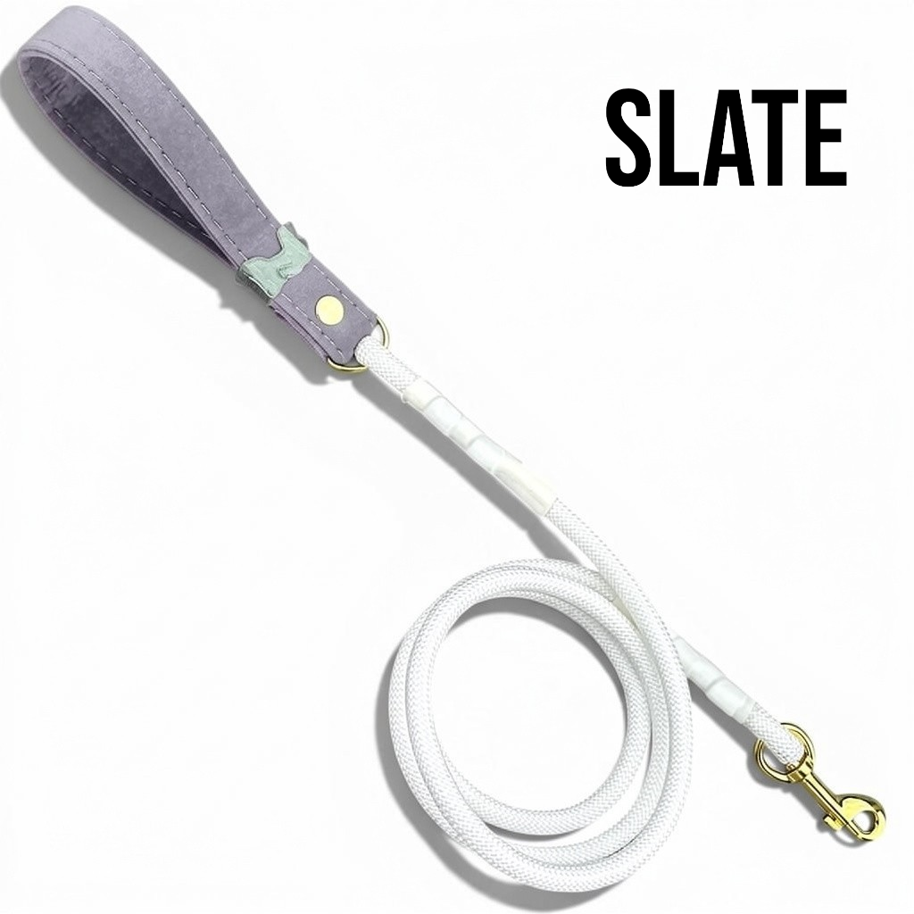 Luxe Collection Leashes