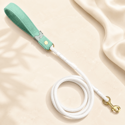 Luxe Collection Leashes
