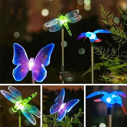 New Decorative Solar Outdoor Lights