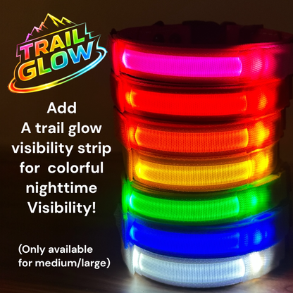 Hands-Free LED Belt Leash