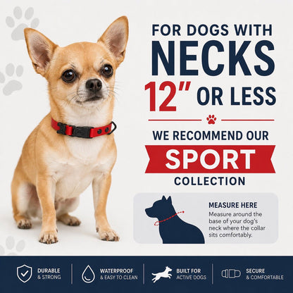 Rugged Waterproof AirTag Dog Collar with Holder