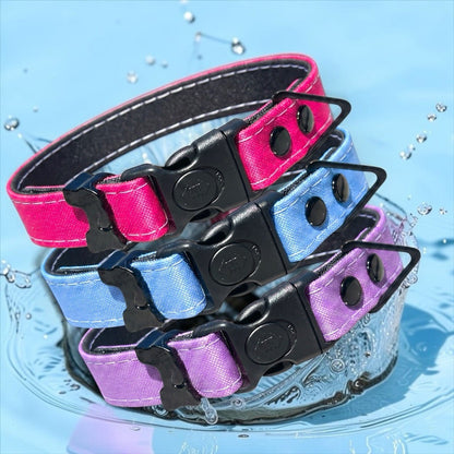 Rugged Waterproof AirTag Dog Collar with Holder