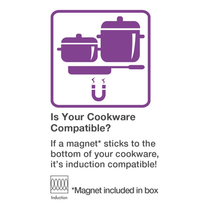 Salton Portable Induction Cooktop