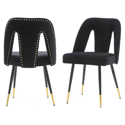 Set of 2: Modern Dining Chairs