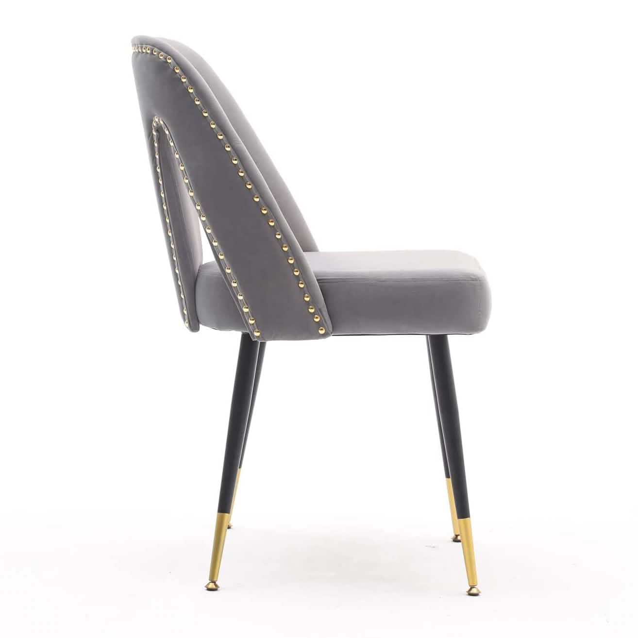 Set of 2: Modern Dining Chairs