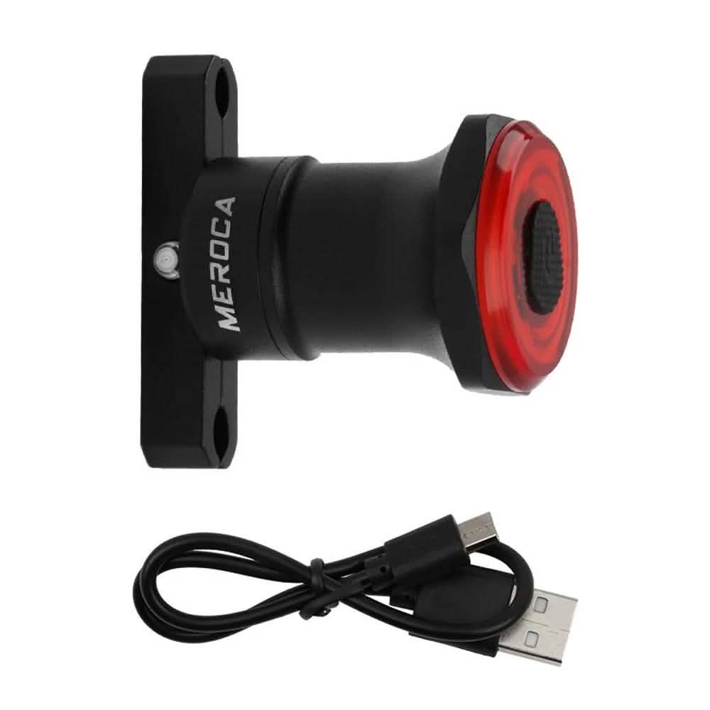 Smart Bike Tail Light