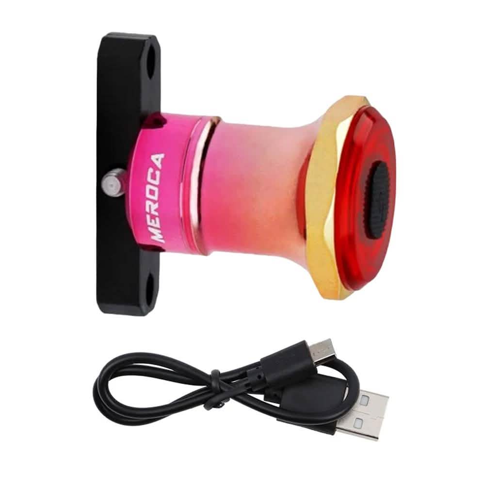 Smart Bike Tail Light