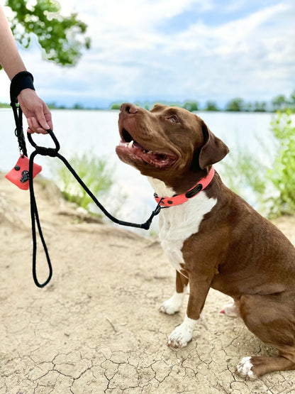The Leash Lasso