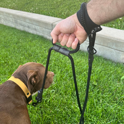 The Leash Lasso