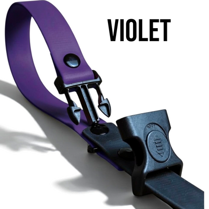 Sport Collection Leashes